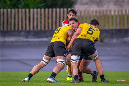 FER 2024 - DHB - Getxo RT (35) vs (14) Universitario Bilbao Rugby