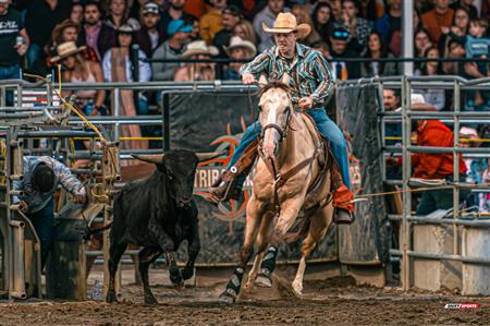 2024 - Rodéo Sainte Catherine de la Jacques Cartier, par Steve Plante