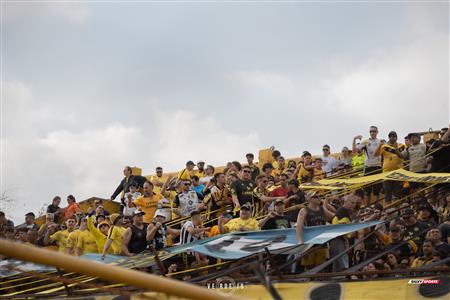 AFA - 1B - 2024 - FLANDRIA (3) VS (0) Villa San Carlos