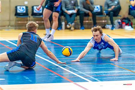 RSEQ - 2024 VOLLEY M - U DE MONTRÉAL (1) VS (3) U DE SHERBROOKE - Reel 2