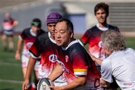 2024 McGill Alumni Rugby Reunion