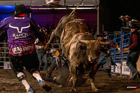 2024 - Rodéo Sainte Catherine de la Jacques Cartier, par Steve Plante