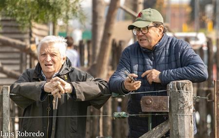 URBA 2024 - 1C - Areco (14) vs (59) SITAS