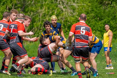 RQ 2024 - Super Ligue M Rés - Beaconsfield RFC (17) vs (17) Town of Mount Royal RFC