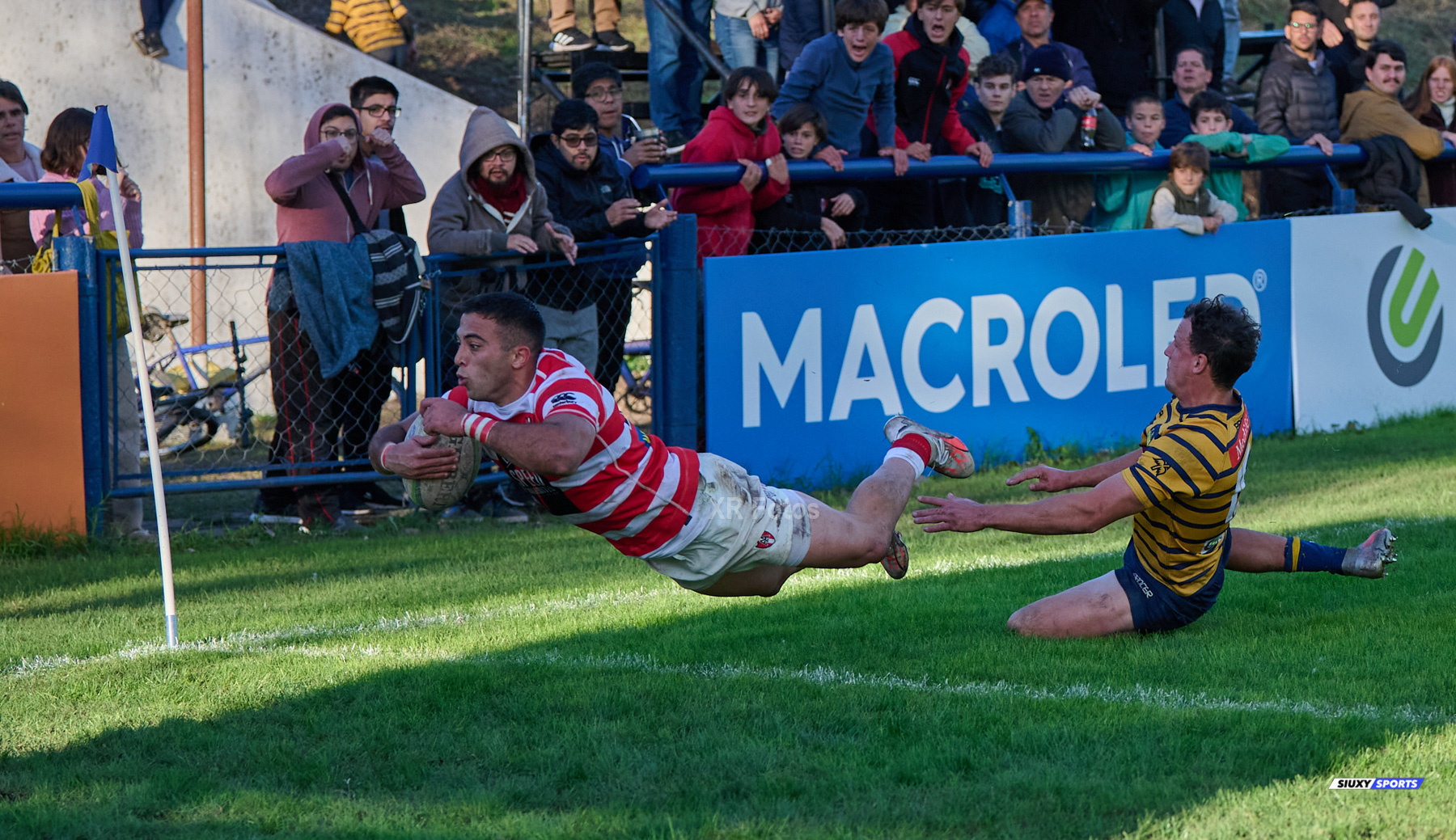 URBA 2024 - TOP 12 Superior -  Regatas de BV (13) vs (18) Asociacion Alumni 