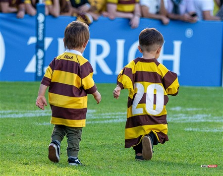 URBA 2024 - Top 12 - Final - Belgrano Athletic (17) vs (20) Asociacion Alumni