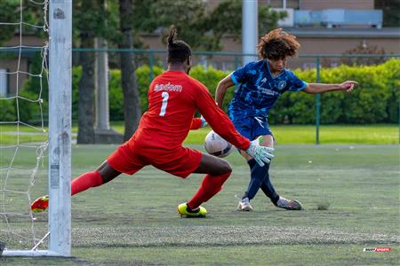 PLSQ - CS Mont-Royal Outremont (2) vs (3) CS de St-Hubert