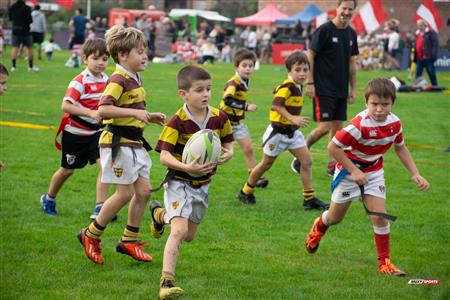 URBA 2024 - Top 12 Superior - Alumni (9) vs (22) Belgrano Athletic Club