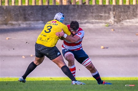 FER 2024 - DHB - Getxo RT (35) vs (14) Universitario Bilbao Rugby
