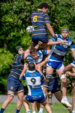 RQ 2024 - SUPER LIGUE M1 - TMR (29) vs (11) Parc Olympique Rugby - SemiFinals