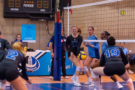 RSEQ - 2024 Volley F - U de Montréal (3) vs (0) UQAM