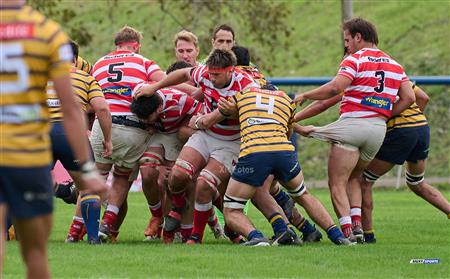 URBA 2024 - Top 12 Intermedia - Regatas BV (19) vs (26) Asociacion Alumni
