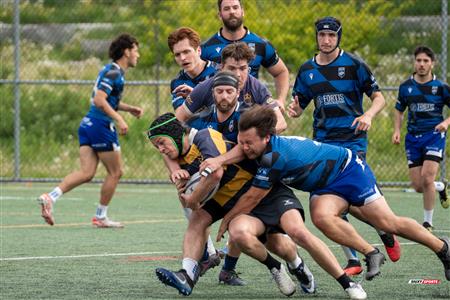 RQ 2024 - Super Ligue M - TMR (46) vs (19) Parc Olympique