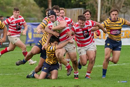 URBA 2024 - Top 12 Intermedia - Regatas BV (19) vs (26) Asociacion Alumni