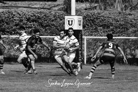 URT 2019 - Tucuman Lawn Tennis vs Universitario Rugby