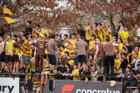 URBA 2024 - Top 12 Superior - Alumni (9) vs (22) Belgrano Athletic Club