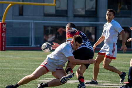2024 McGill Alumni Rugby Reunion