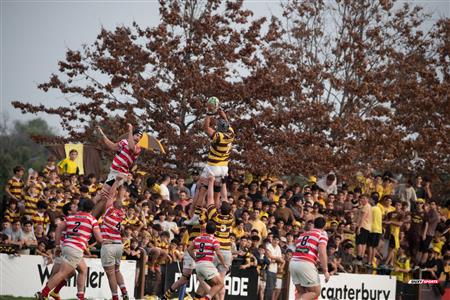 URBA 2024 - Top 12 Superior - Alumni (9) vs (22) Belgrano Athletic Club