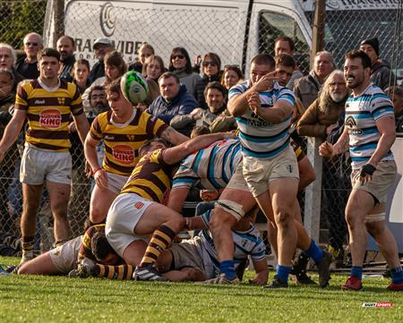 URBA 2024 - Top 12 Superior - San Isidro Club (34)  vs (31) Belgrano Athletic Club