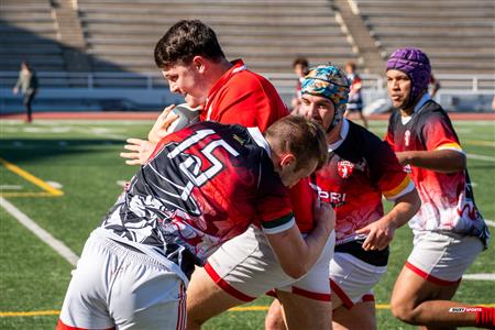 2024 McGill Alumni Rugby Reunion