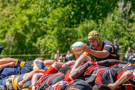 RQ 2024 - Super Ligue M Rés - Beaconsfield RFC (17) vs (17) Town of Mount Royal RFC