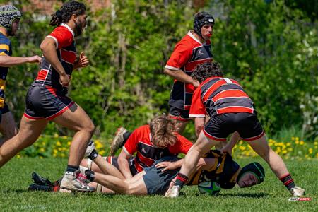 RQ 2024 - Super Ligue M Rés - Beaconsfield RFC (17) vs (17) Town of Mount Royal RFC