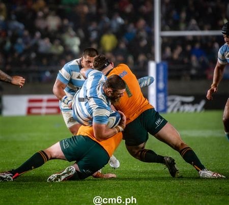 Rugby Championship 2024 - Argentina Pumas (19) vs (20) Australia Wallabies