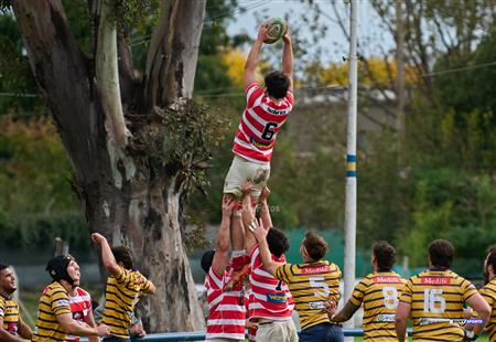 URBA 2024 - Top 12 Intermedia - Regatas BV (19) vs (26) Asociacion Alumni