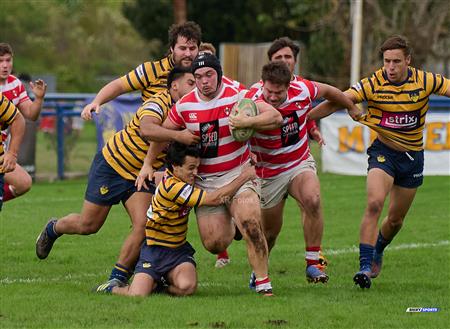URBA 2024 - Top 12 Intermedia - Regatas BV (19) vs (26) Asociacion Alumni