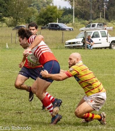 URBA 2024 - 1ra C - Areco RC (19) vs (7) Mercedes RC