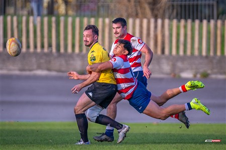 FER 2024 - DHB - Getxo RT (35) vs (14) Universitario Bilbao Rugby