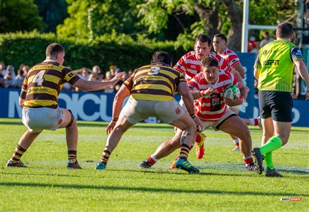URBA 2024 - Top 12 - Final - Belgrano Athletic (17) vs (20) Asociacion Alumni