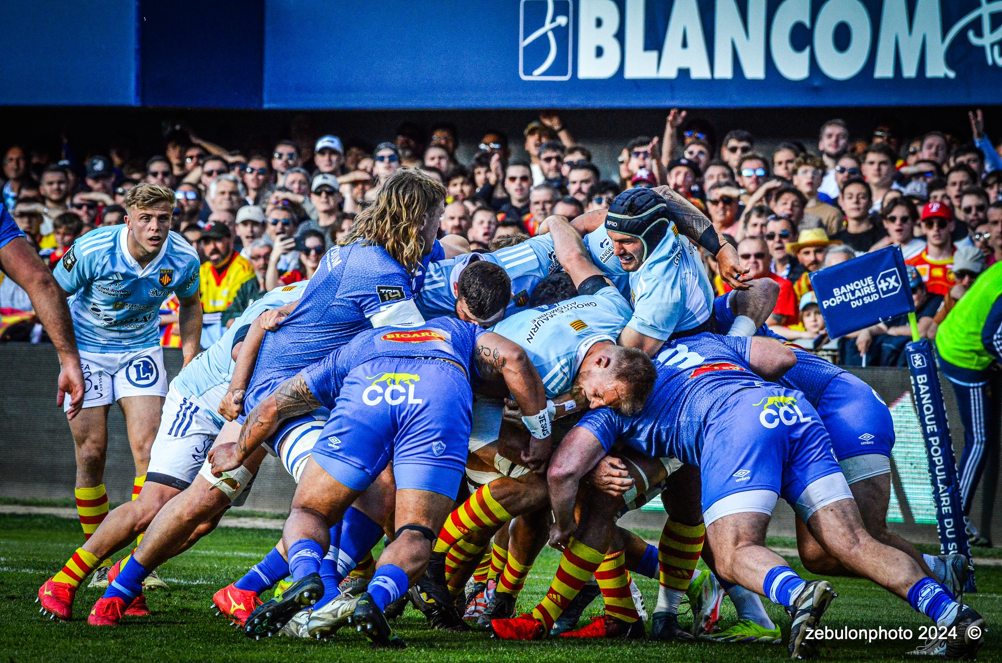  US Arlequins Perpignanais - Castres Olympique - Rugby - FFR 2024 - Top14 - USAP (43) vs (12) Castres  (#FFR24TOPPERCAS03) Photo by: Photo Zebulon | Siuxy Sports 2024-03-30