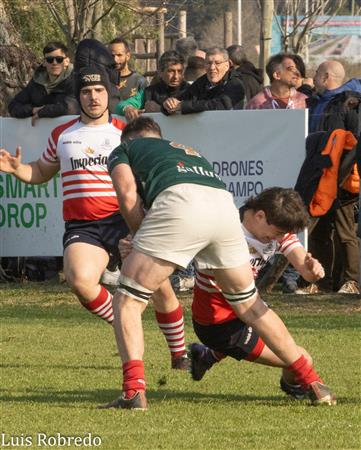 URBA 2024 - 1C - Areco (14) vs (59) SITAS