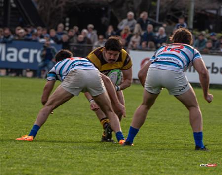 URBA 2024 - Top 12 Superior - San Isidro Club (34)  vs (31) Belgrano Athletic Club