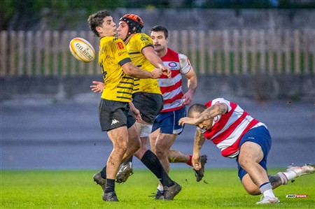 FER 2024 - DHB - Getxo RT (35) vs (14) Universitario Bilbao Rugby