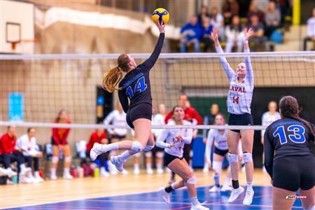 RSEQ - 2024 Volley F - Demi-finale - U de Montréal (3) vs (1) U Laval