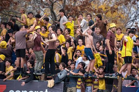 URBA 2024 - Top 12 Superior - Alumni (9) vs (22) Belgrano Athletic Club