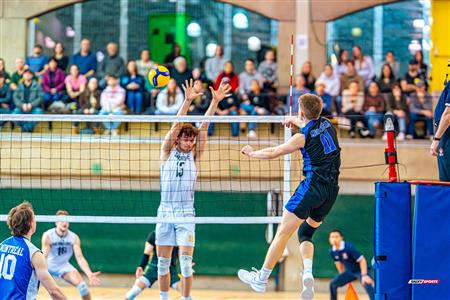RSEQ - 2024 VOLLEY M - U DE MONTRÉAL (1) VS (3) U DE SHERBROOKE - Reel 2