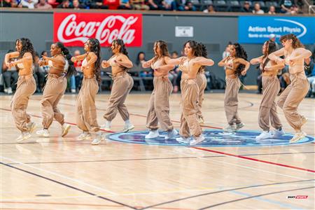 BSL - Montreal Toundra vs Frederick Flying Cows - Before game and half time show