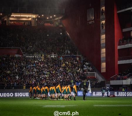 Rugby Championship 2024 - Argentina Pumas (19) vs (20) Australia Wallabies