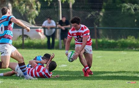 URBA 2024 - TOP 12 SUPERIOR - ALUMNI (37) VS (8) Atlético del Rosario