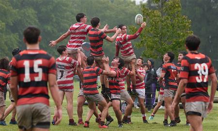 URBA M19 - 2024 - Alumni vs Olivos RC