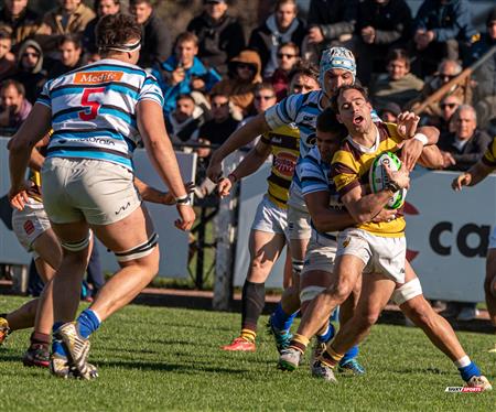 URBA 2024 - Top 12 Superior - San Isidro Club (34)  vs (31) Belgrano Athletic Club