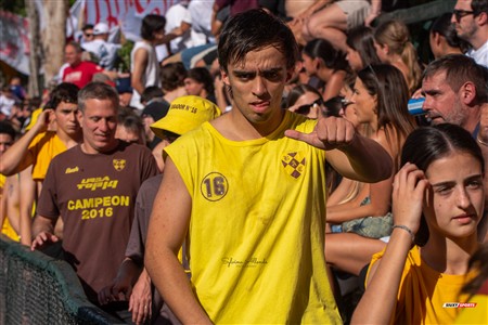 URBA 2024 - Top 12 - Final - Belgrano Athletic (17) vs (20) Asociacion Alumni