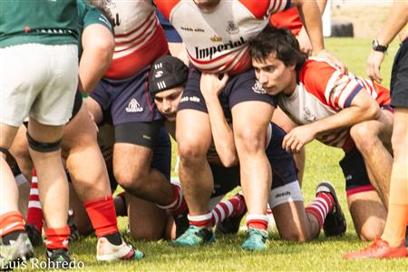 URBA 2024 - 1C - Areco (14) vs (59) SITAS