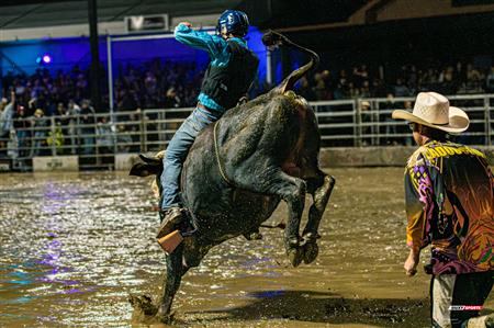 2024 - Rodéo Sainte Catherine de la Jacques Cartier, par Steve Plante