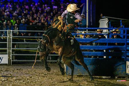 2024 - Rodéo Sainte Catherine de la Jacques Cartier, par Steve Plante