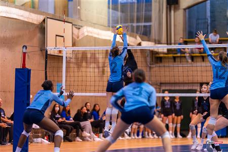 RSEQ - 2024 Volley F - U de Montréal (3) vs (0) UQAM