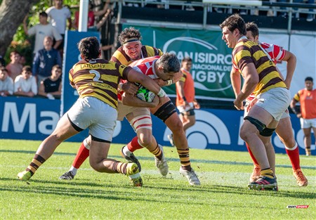 URBA 2024 - Top 12 - Final - Belgrano Athletic (17) vs (20) Asociacion Alumni